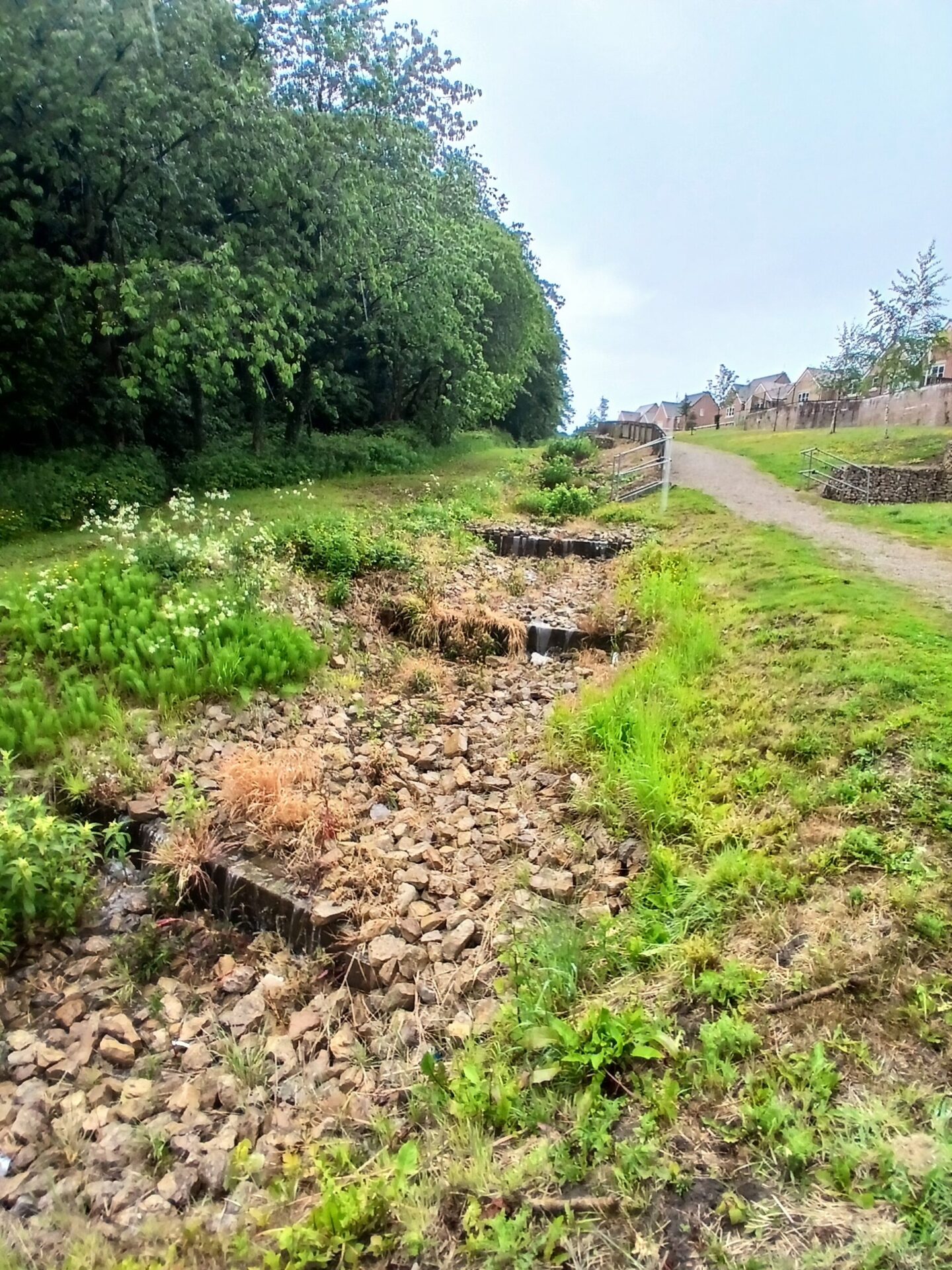 Monkswood Before